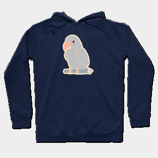 Cute Parrot - Gray Hoodie